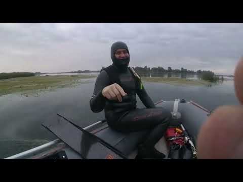 Видео: Підводне полювання в кінці вересня