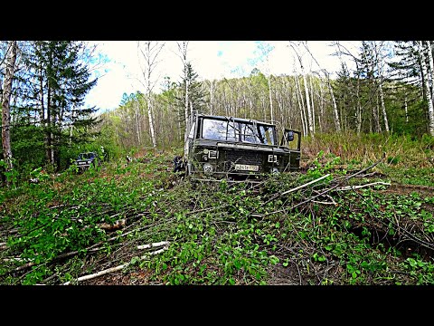 Видео: СНОВА В ТАЙГУ НА НОВЫЙ УЧАСТОК. ДЕНЬ ЗАЕЗДА. Встретили китайцев.