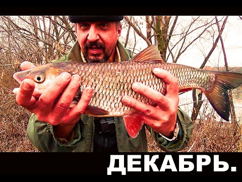 Видео: Рыбалка с ночевкой на Москва-реке. Царь - Голавль. Щука, Окунь.