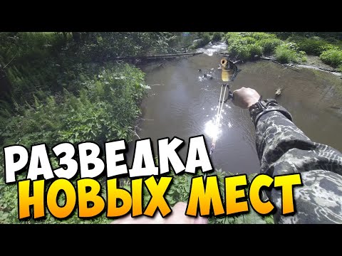 Видео: Необычная рыбалка с рогаткой на Карпа | Стрельба из рогатки #13