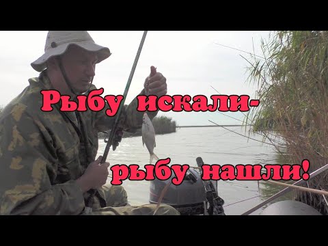 Видео: Центральная охот-база.