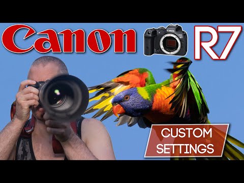 Видео: CANON R7: Индивидуальная настройка автофокуса для съемки птиц и диких животных