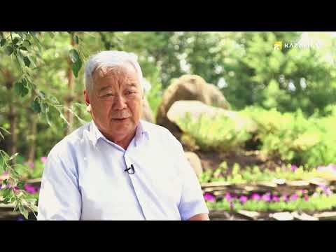 Видео: Зеленый пояс Астаны