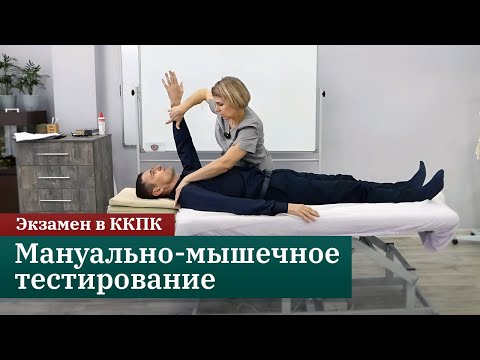 Видео: Экзамен по прикладной кинезиологии в ККПК. Мануально-мышечное тестирование