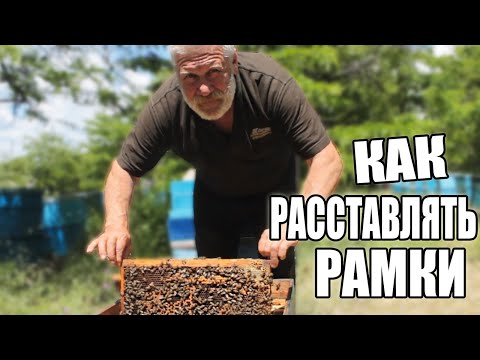 Видео: Как правильно расположить рамки в улие. Пчеловодство 2020. Пчеловодство для начинающих