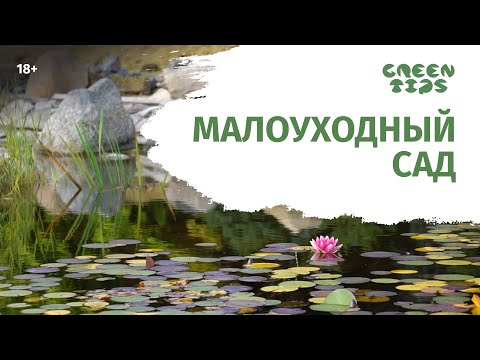 Видео: МАЛОУХОДНЫЙ сад хотите? Как правильно зонировать сад?