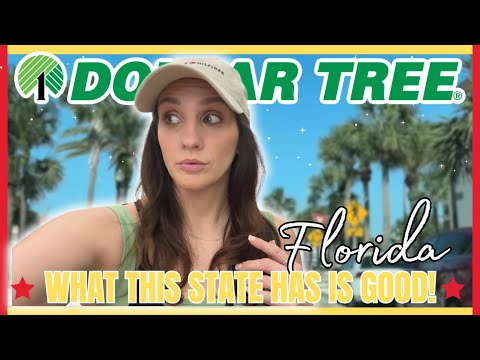 Видео: 🌴 Путешествие с Dollar Tree по Флориде | Майами, Форт-Лодердейл, Тампа + Jax 🛒