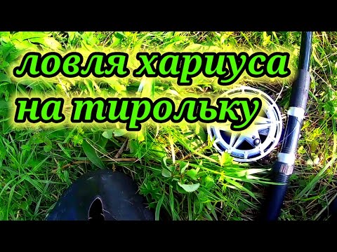 Видео: ❗Ловля хариуса на тирольку 🎏