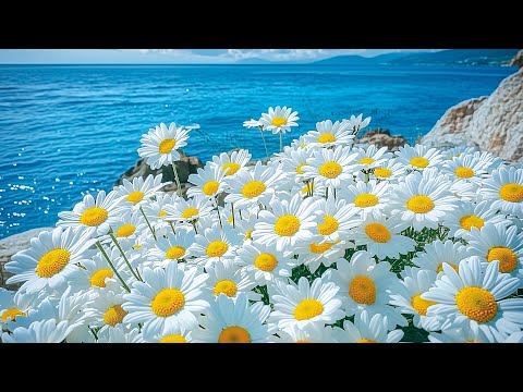 Видео: Музыка успокаивает сердце и кровь - Расслабляет нервную систему, радует душу