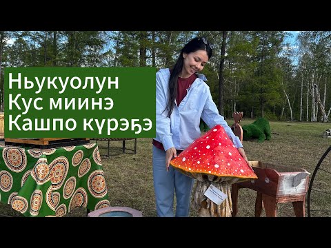 Видео: Ньукуолун. Кус миинэ. Кашпо күрэҕэ.