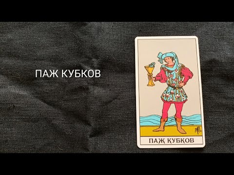 Видео: Паж Кубков. Описание значений и символики  аркана таро по классической системе Райдера-Уэйта