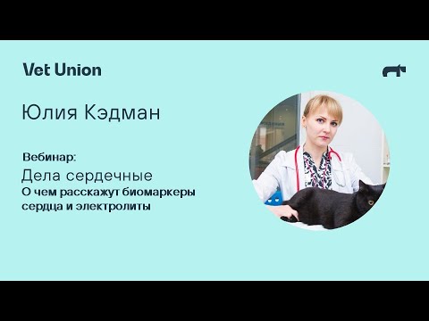 Видео: Дела сердечные: о чем расскажут биомаркеры сердца и электролиты