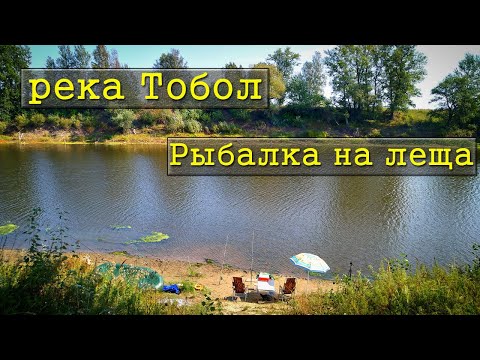 Видео: Рыбалка на фидер и донку на реке Тобол / Лещь на донку / Судак на нарезку /