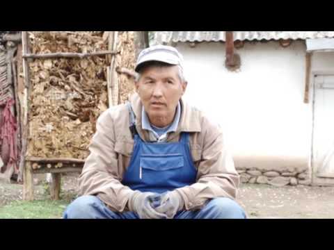 Видео: Ээр чабуу онору