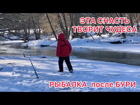 Видео: ЭТА СНАСТЬ ТВОРИТ ЧУДЕСА / ОБЛОВИЛ ВСЕХ / Рыбалка ПОСЛЕ СИЛЬНОЙ БУРИ