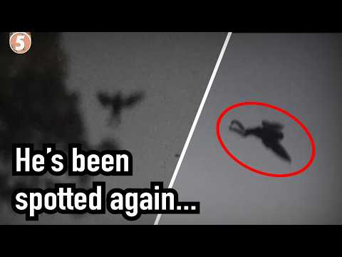 Видео: 5 страшных и странных РЕАЛЬНЫХ историй ужасов, видеоматериалов и встреч. Том 23...