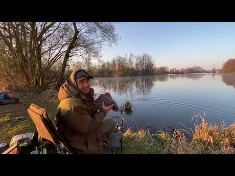 Видео: Флэт фидер на реке⁉️Где ловить карпа ранней весной? #фидер #флэтфидер #рыбалка #fishing #carp