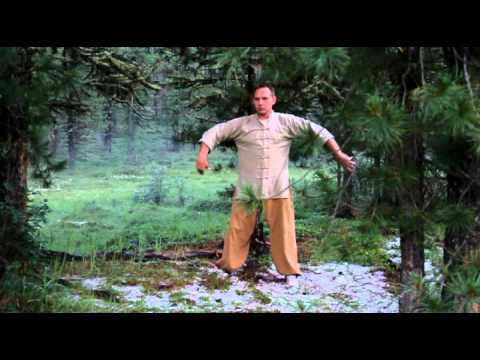 Видео: тренировки на природе. шест, кривой меч, прямой меч, мягкий кулак