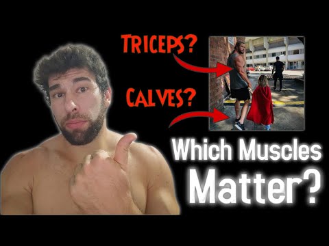 Видео: Какие мышцы заставляют вас выглядеть КРЕПКИМ? (Список уровней)