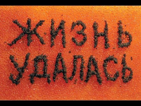 Видео: Как эмиграция влияет на успешность человека?