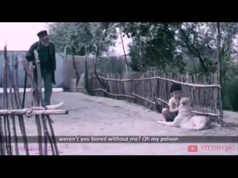 Видео: 😢Эй Падарчонам Хоки Поят....🍀 - Суруди Бехтарин дар васфи Падар