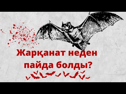 Видео: ЖАРҚАНАТ НЕДЕН ПАЙДА БОЛДЫ?