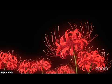 Видео: 1-поток 6р