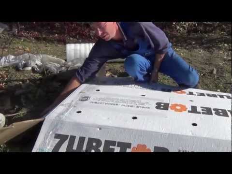 Видео: Укрытие винограда в Сибири