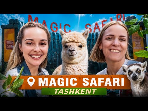 Видео: Ташкентский Magic Safari: Первый сафари-парк в Узбекистане!!