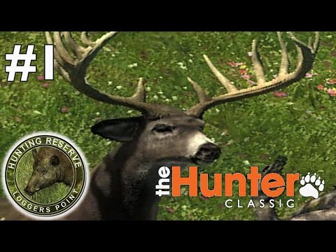 Видео: После долгого перерыва. theHunter Classic #1
