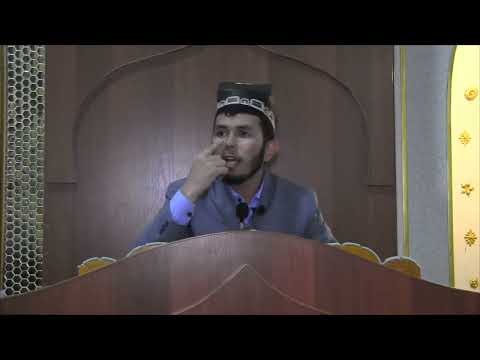 Видео: БЕХТАРИН СУХАН АЗ ТАРАФИ Домулло ОРИФ