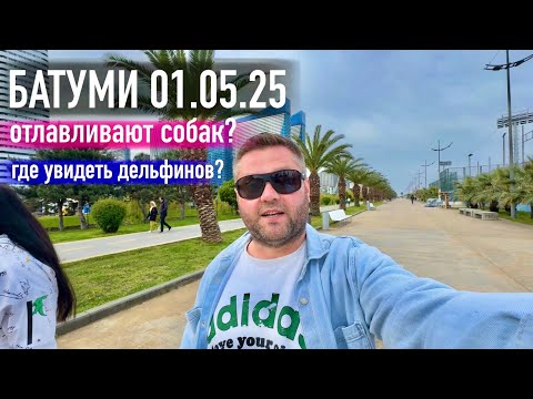 Видео: Батуми 01.05.25🇬🇪 Где увидеть дельфинов? Отлавливают собак?
