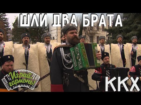 Видео: Там шли два брата... | Кубанский казачий хор | Играй, гармонь! | @igraygarmon