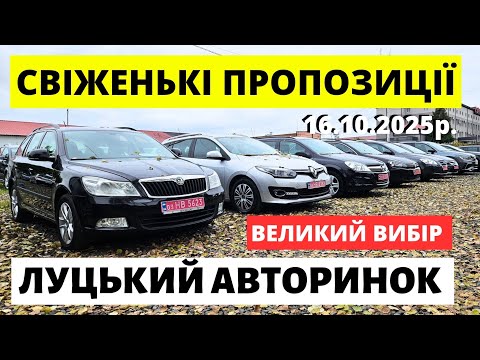 Видео: ПОПУЛЯРНІ АВТО НА ЛУЦЬКОМУ АВТОРИНКУ / 16.10.25р. #луцькийавторинок  #автопідбірлуцьк #автобазар  