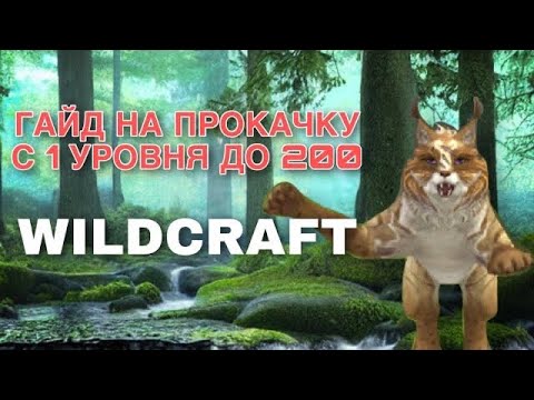 Видео: ГАЙД НА ПРОКАЧКУ