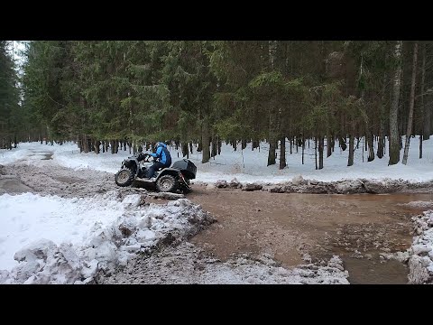 Видео: Stels Guepard 650 и CFmoto x5 h.o. в мире животных