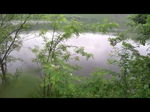 Видео: Рибацькі пригоди на водосховищі Касперівці