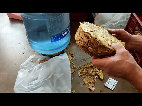 Видео: Табачные плаги. Не дорогой лёгкий и быстрый способ