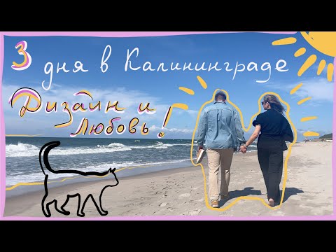 Видео: Влог: дизайн интерьеров в Калининграде, Nordic spa
