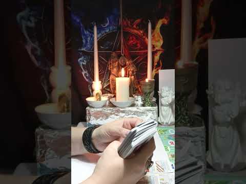 Видео: Крыса забегала выход ищет🥁🤕😲🤦‍♀️