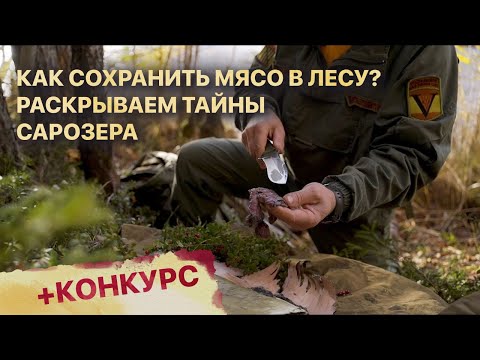 Видео: Как сохранить мясо в дикой природе? Путешествие на о.Сарозеро.