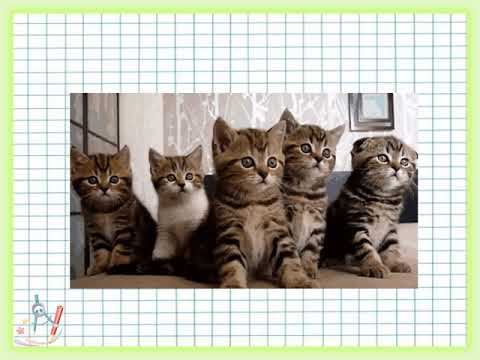 Видео: Математика 4 клас Утворення і читання чотирицифрових чисел