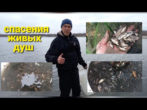 Видео: Это Надо Видеть!!!Спасения Рыбок!