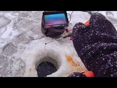 Видео: ЗАСУНУЛ КАМЕРУ В ЛУНКУ, А ТАМ...БЕЗМОТЫЛКА ПОД ВОДОЙ