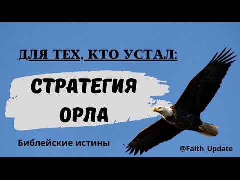 Видео: Для тех кто устал   стратегия орла