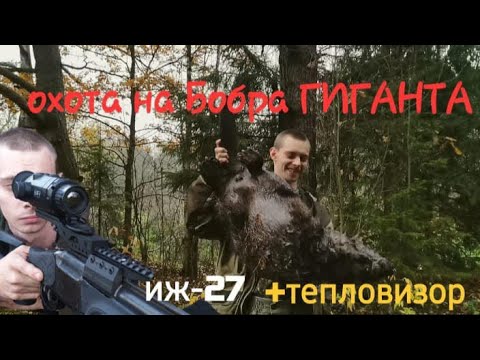 Видео: Охота на Бобра - ГИГАНТА , с ружьём ИЖ-27 и прицелом SFH Varg l25.