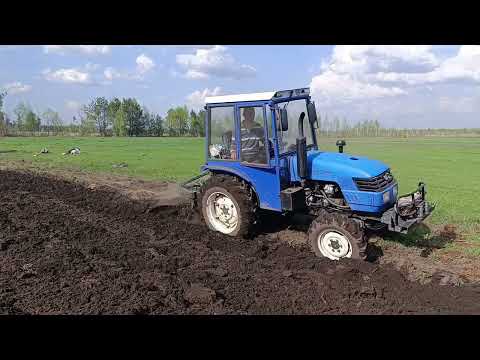 Видео: Оранка ДФ 404 в парі з Оріон 244.