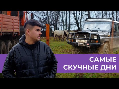 Видео: ПРИВЕЗЛИ СОЛЬ ЛОШАДЯМ | УАЗИК НЕ ПРОЕХАЛ | ДОМА ВСЕГДА ЛУЧШЕ