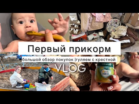 Видео: Первый прикорм | большой обзор покупок | гуляем с крестной