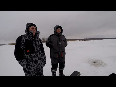 Видео: КОГДА КЛЮЁТ В ЯНВАРЕ?  ЩУКА НА ЖЕРЛИЦЫ.